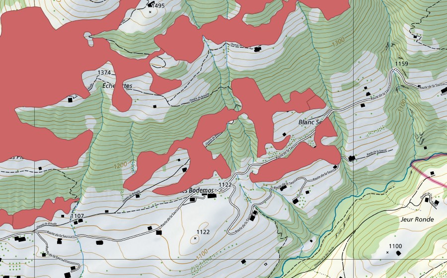 Carte nationale swisstopo avec le périmètre protégé de Rougemont (Prairie sèche)