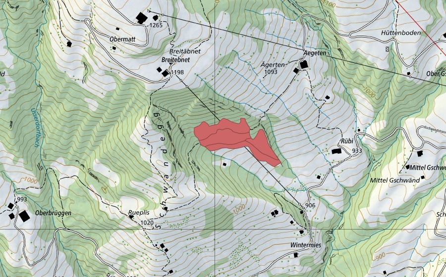 Carte nationale swisstopo avec le périmètre protégé de Rübi (Prairie sèche)