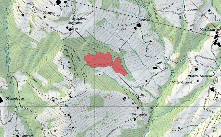 Carte nationale swisstopo avec le périmètre protégé de Rübi (Prairie sèche)