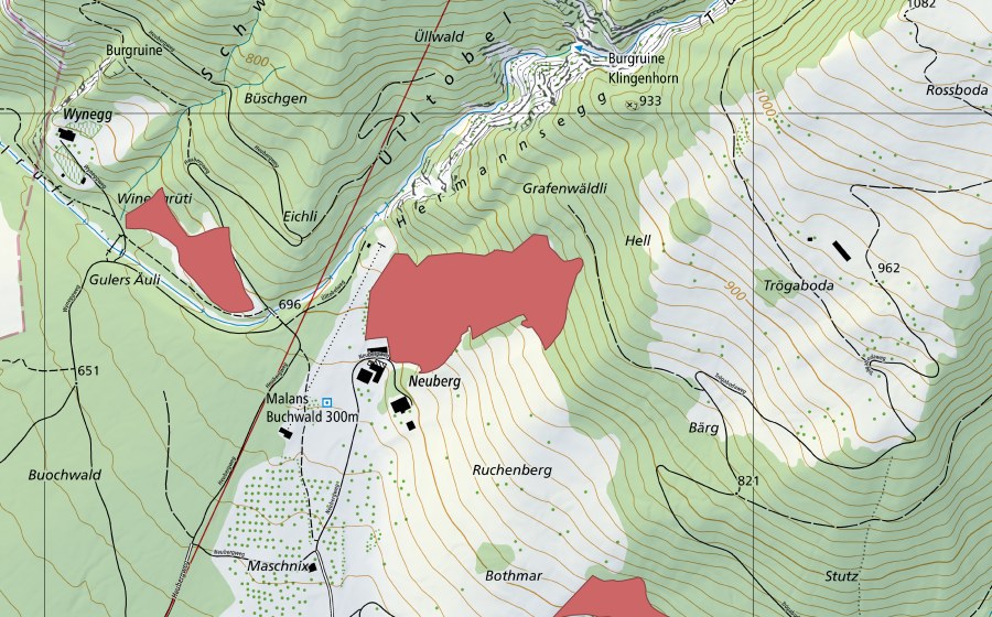 swisstopo national map showing the protected perimeter of Ruchenberg (Dry meadow)