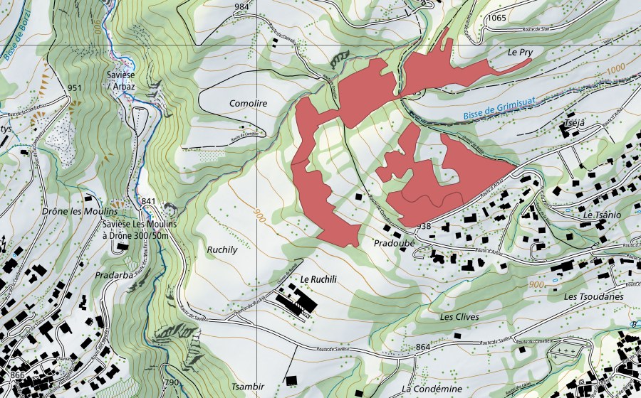 Carte nationale swisstopo avec le périmètre protégé de Ruchily (Prairie sèche)