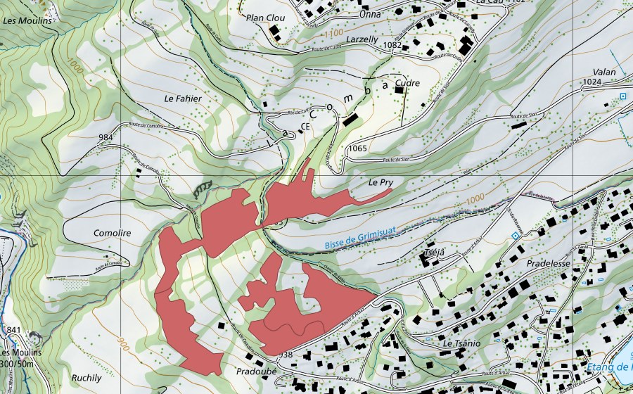 Landeskarte swisstopo mit dem Schutzperimeter von Ruchily (Trockenwiese)