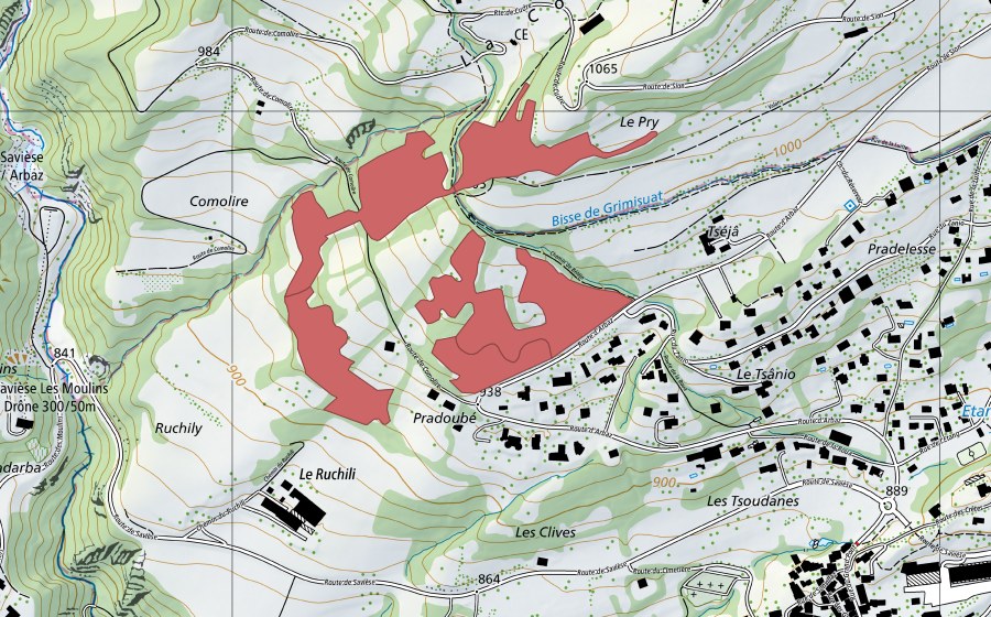 Carte nationale swisstopo avec le périmètre protégé de Ruchily (Prairie sèche)