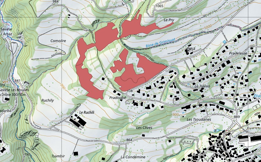 Landeskarte swisstopo mit dem Schutzperimeter von Ruchily (Trockenwiese)
