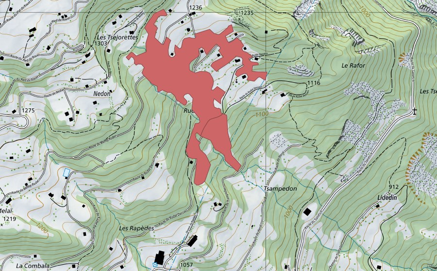 swisstopo national map showing the protected perimeter of Rudet (Dry meadow)