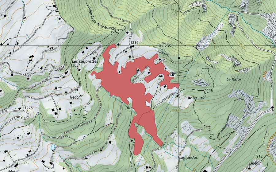 swisstopo national map showing the protected perimeter of Rudet (Dry meadow)