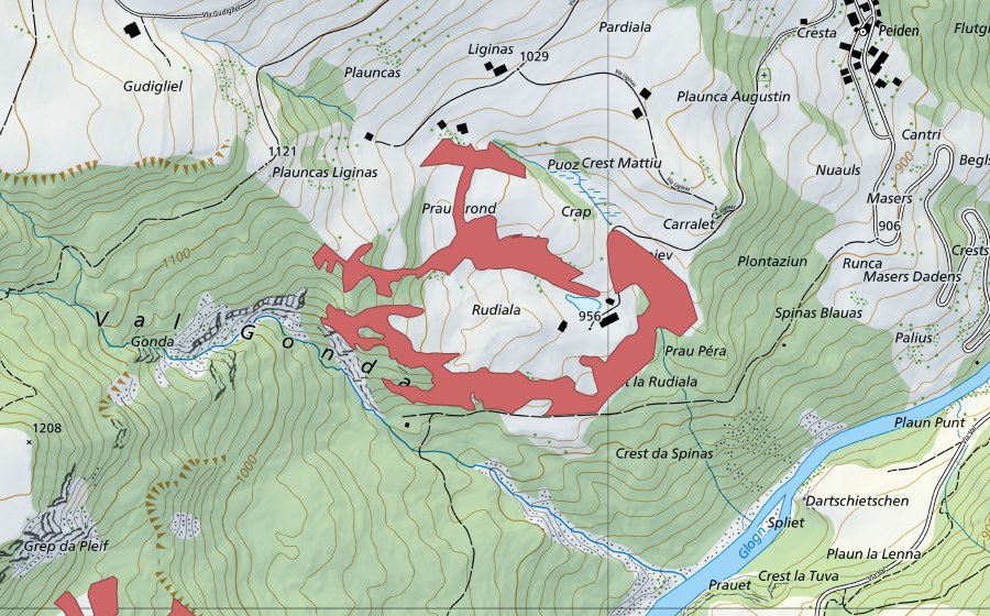 swisstopo national map showing the protected perimeter of Rudiala (Dry meadow)