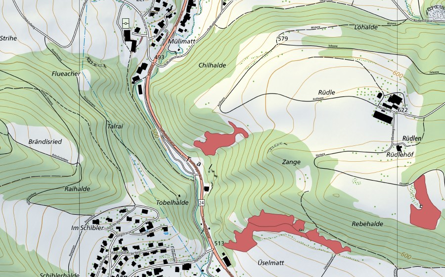 Carte nationale swisstopo avec le périmètre protégé de Rüdle (Prairie sèche)