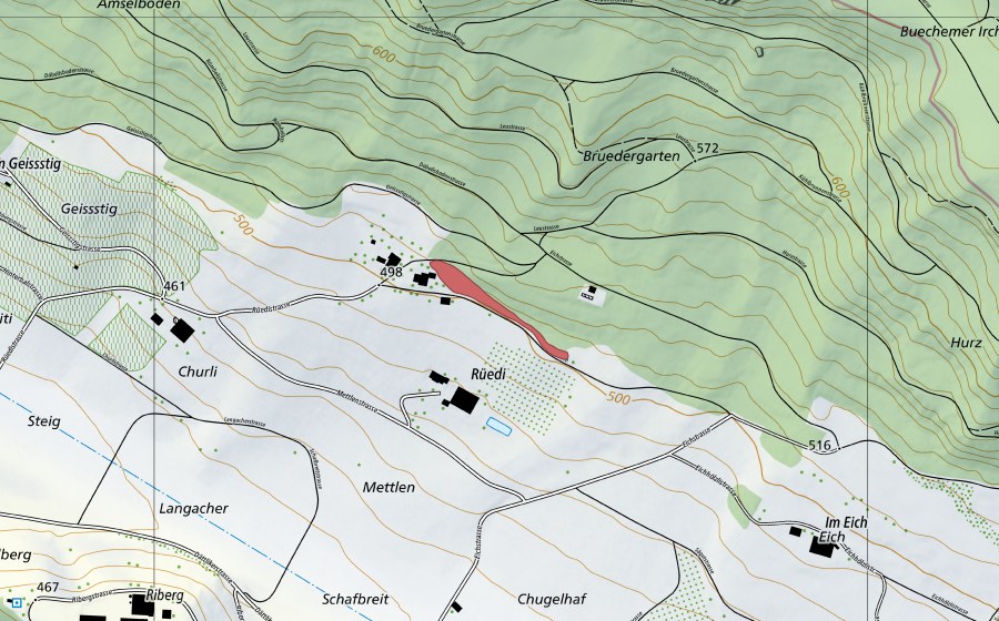 Landeskarte swisstopo mit dem Schutzperimeter von Rüedi (Trockenwiese)