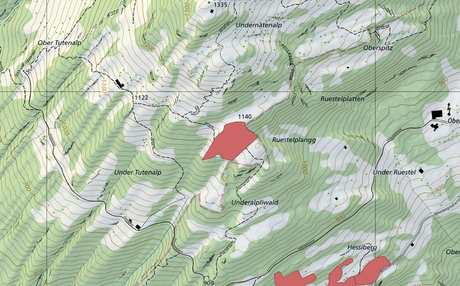 Landeskarte swisstopo mit dem Schutzperimeter von Ruestelplangg (Trockenwiese)