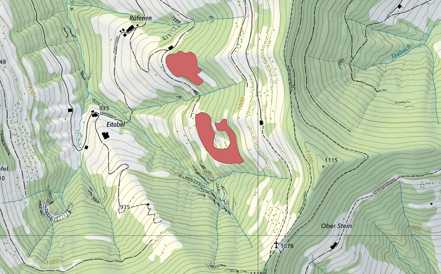 Landeskarte swisstopo mit dem Schutzperimeter von Rüfenen (Trockenwiese)