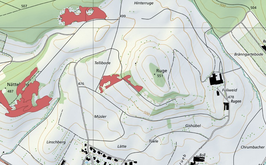 swisstopo national map showing the protected perimeter of Ruge (Dry meadow)