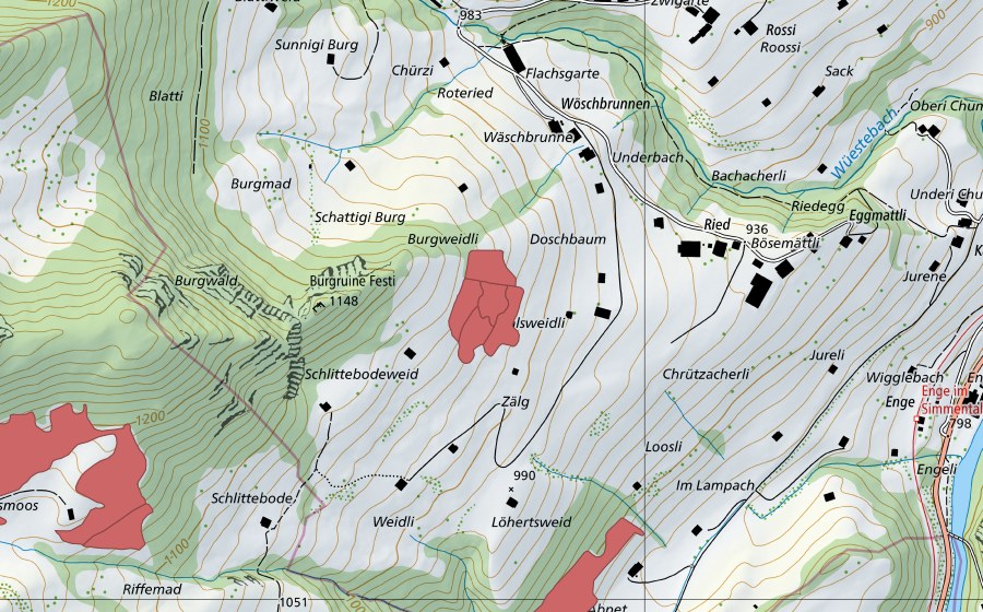 Landeskarte swisstopo mit dem Schutzperimeter von Ruine Festi (Trockenwiese)