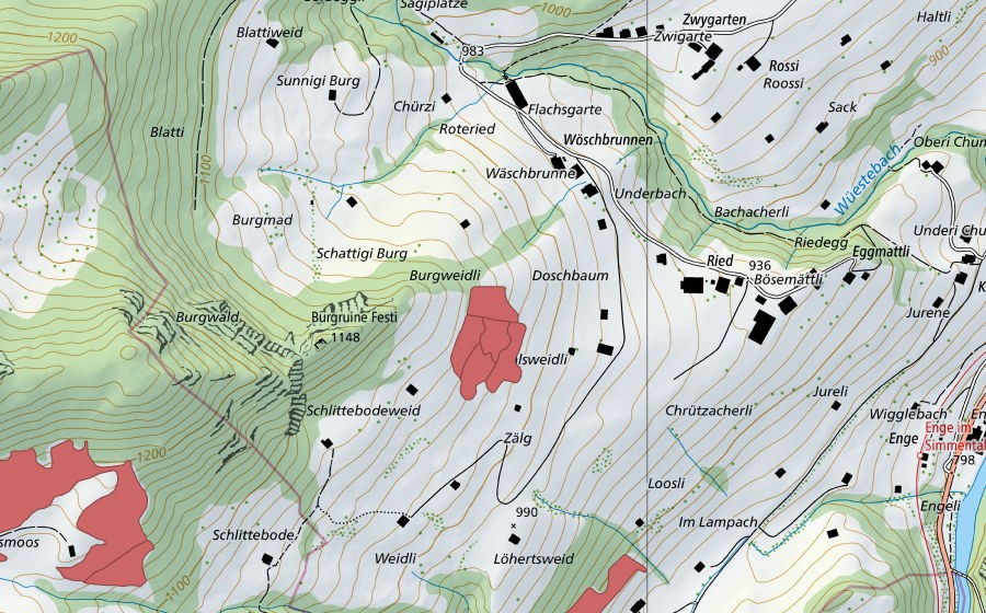 Carta nazionale swisstopo con il perimetro protetto di Ruine Festi (Prato secco)