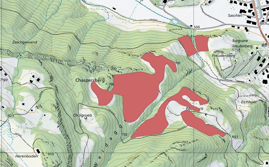 swisstopo national map showing the protected perimeter of Ruine Freudenberg (Dry meadow)