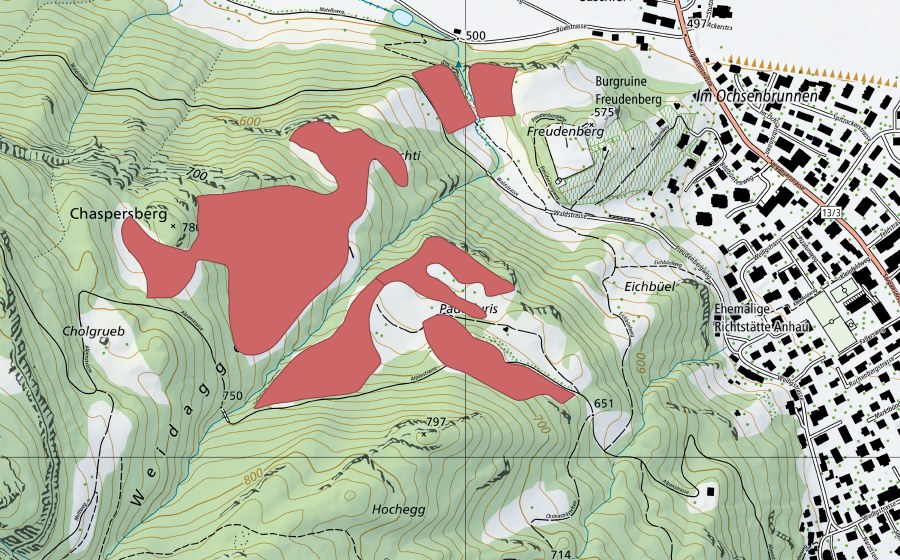 swisstopo national map showing the protected perimeter of Ruine Freudenberg (Dry meadow)