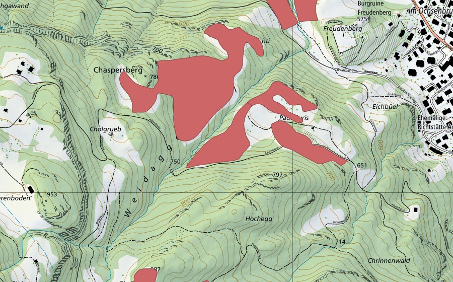 swisstopo national map showing the protected perimeter of Ruine Freudenberg (Dry meadow)