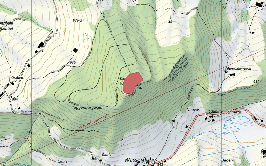 Landeskarte swisstopo mit dem Schutzperimeter von Ruine Neutoggenburg (Trockenwiese)