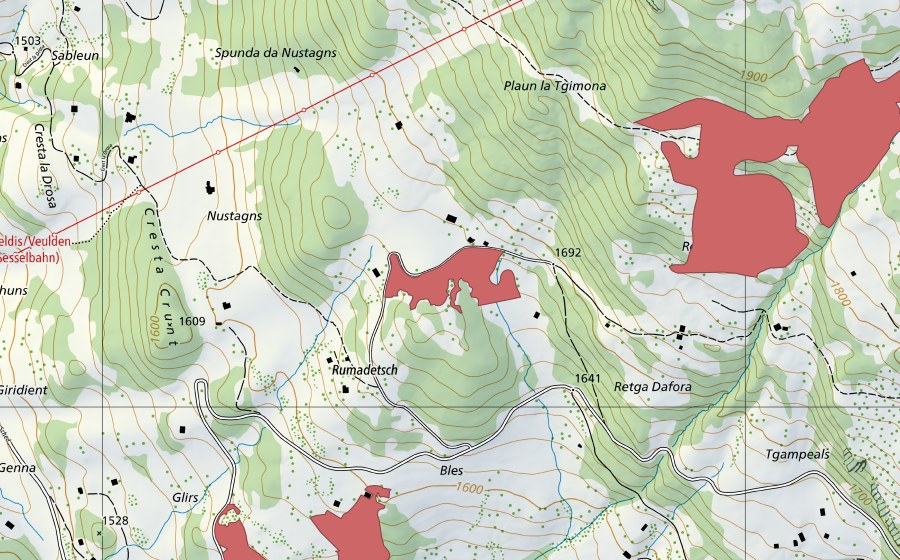 swisstopo national map showing the protected perimeter of Rumadetsch (Dry meadow)
