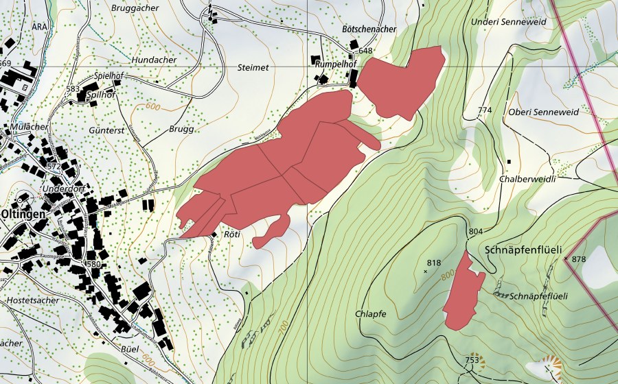 Landeskarte swisstopo mit dem Schutzperimeter von Rumpel (Trockenwiese)