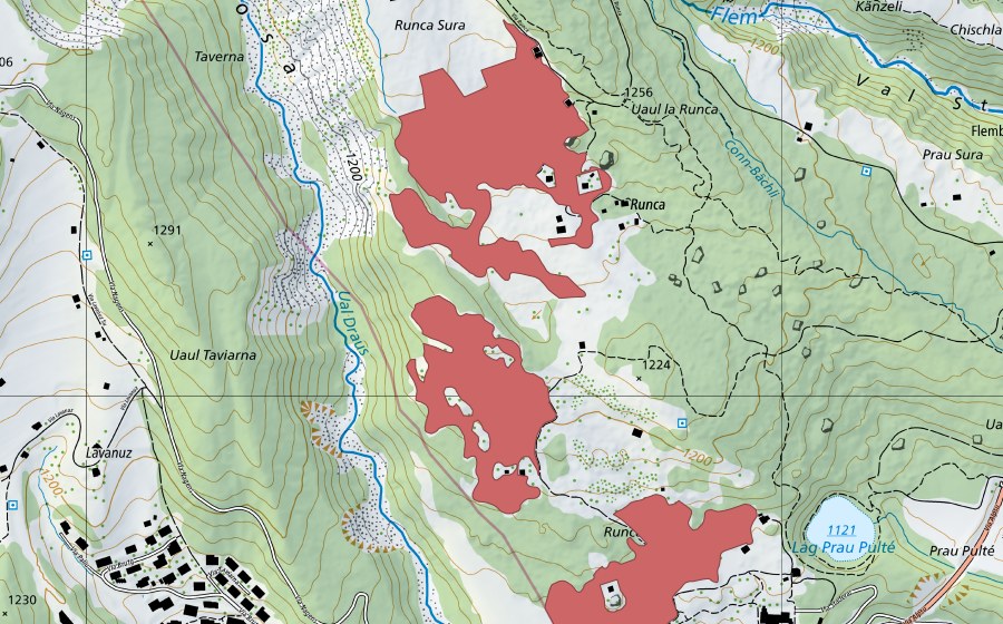 swisstopo national map showing the protected perimeter of Runca Sut (Dry meadow)