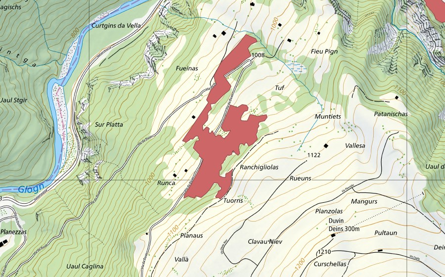swisstopo national map showing the protected perimeter of Runca (Dry meadow)