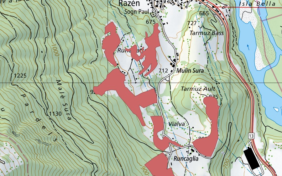 Carte nationale swisstopo avec le périmètre protégé de Runcalatsch (Prairie sèche)