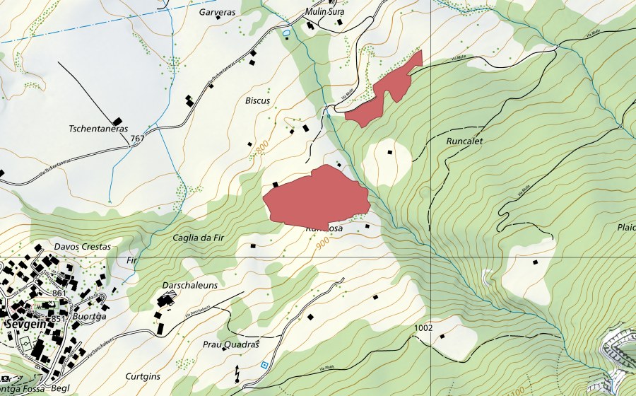 Landeskarte swisstopo mit dem Schutzperimeter von Runcalosa (Trockenwiese)