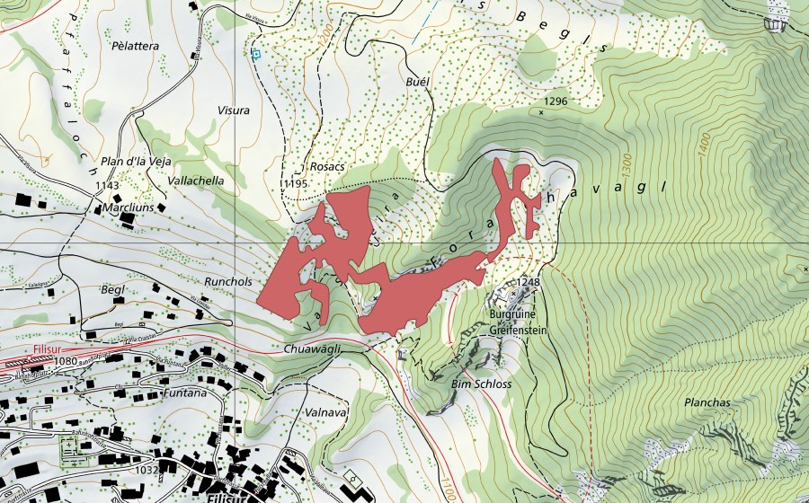 Carte nationale swisstopo avec le périmètre protégé de Runchols (Prairie sèche)