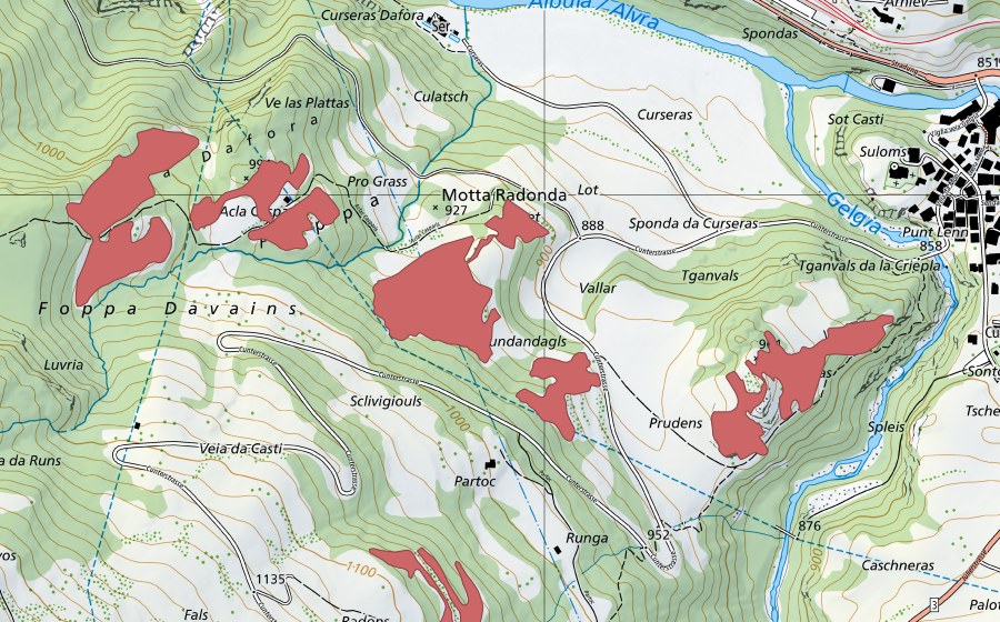 Landeskarte swisstopo mit dem Schutzperimeter von Rundandagls (Trockenwiese)