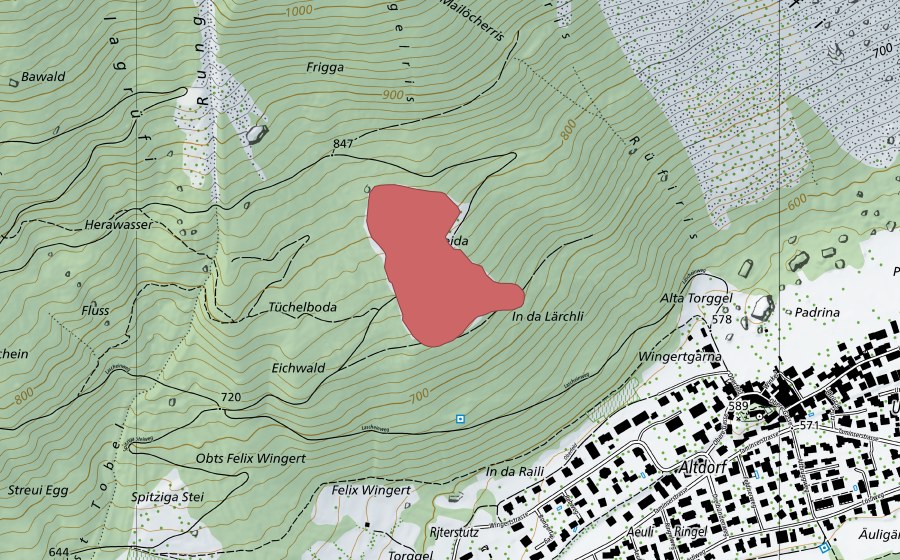 Landeskarte swisstopo mit dem Schutzperimeter von Runggaleida (Trockenwiese)