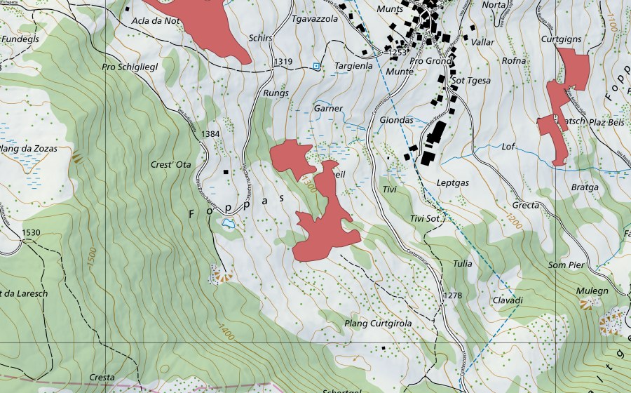 swisstopo national map showing the protected perimeter of Rungs (Dry meadow)
