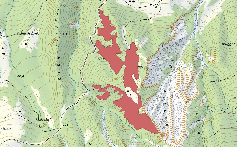 Landeskarte swisstopo mit dem Schutzperimeter von Rungs (Trockenwiese)