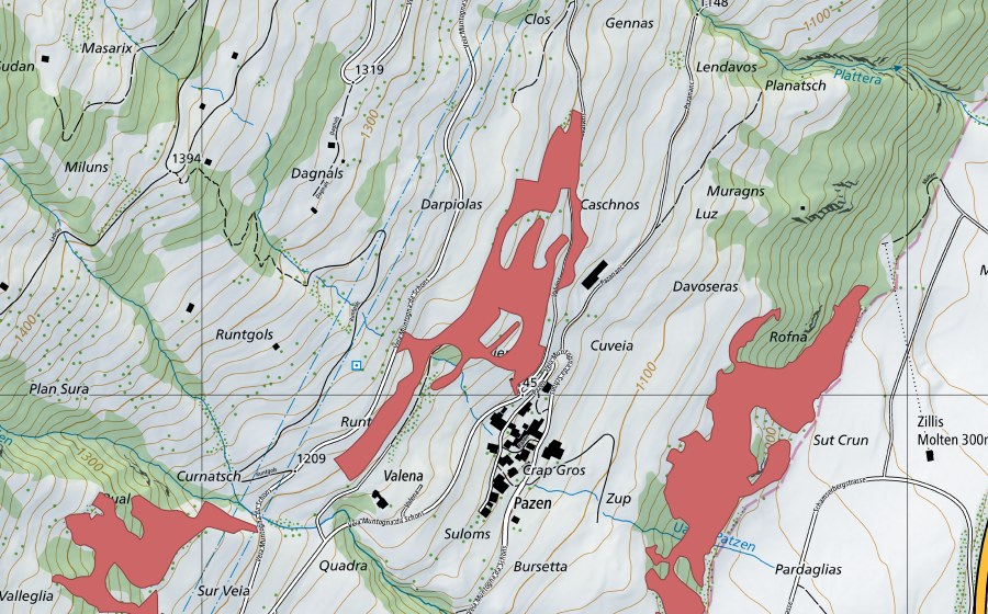 swisstopo national map showing the protected perimeter of Runtgols (Dry meadow)