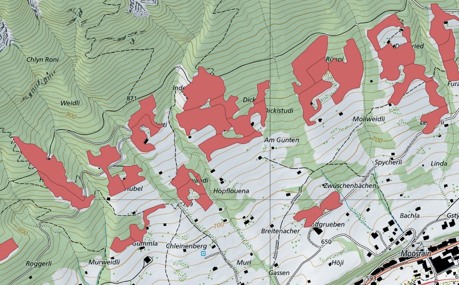 Landeskarte swisstopo mit dem Schutzperimeter von Rüppi (Trockenwiese)