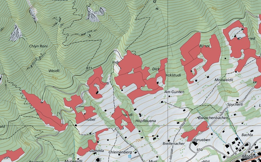 swisstopo national map showing the protected perimeter of Rüppi (Dry meadow)