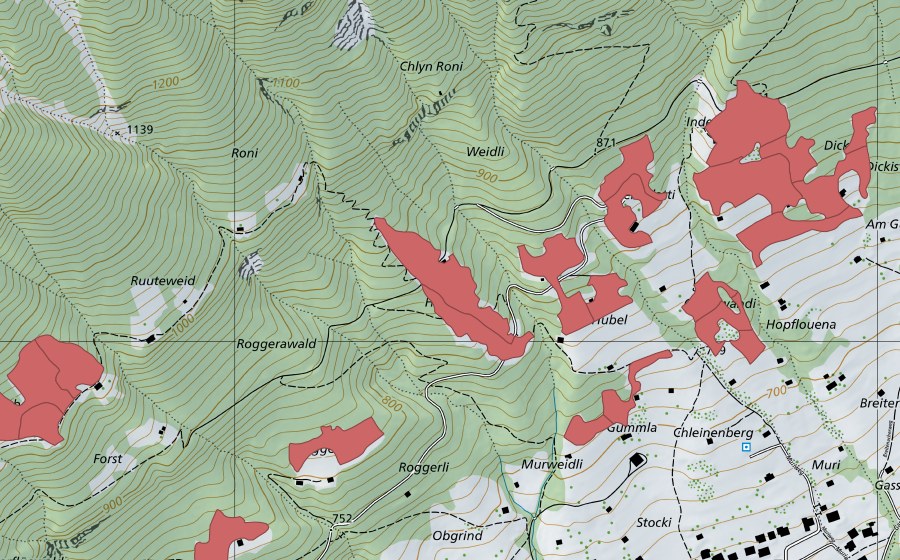 swisstopo national map showing the protected perimeter of Rüppi (Dry meadow)