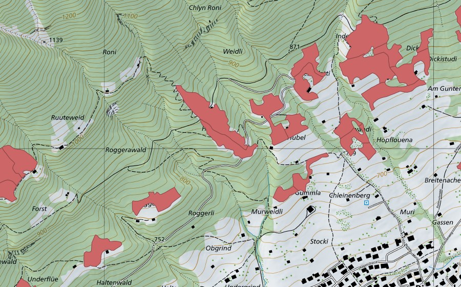 Landeskarte swisstopo mit dem Schutzperimeter von Rüppi (Trockenwiese)
