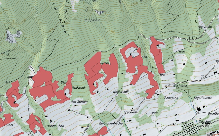 swisstopo national map showing the protected perimeter of Rüppi (Dry meadow)