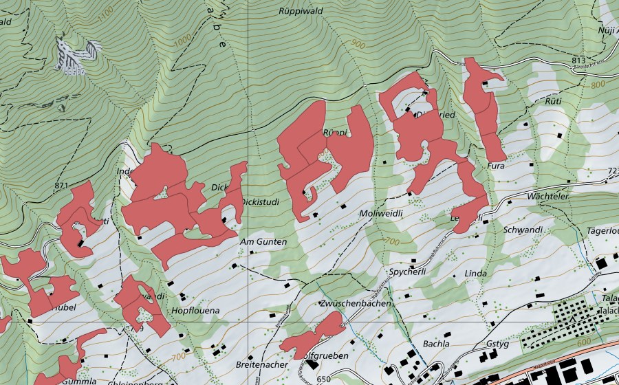 Landeskarte swisstopo mit dem Schutzperimeter von Rüppi (Trockenwiese)