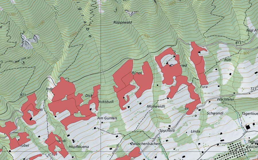 Carte nationale swisstopo avec le périmètre protégé de Rüppi (Prairie sèche)