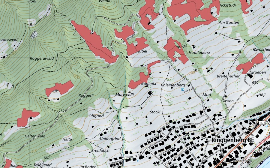swisstopo national map showing the protected perimeter of Rüppi (Dry meadow)