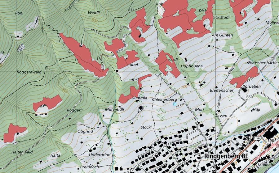 Landeskarte swisstopo mit dem Schutzperimeter von Rüppi (Trockenwiese)
