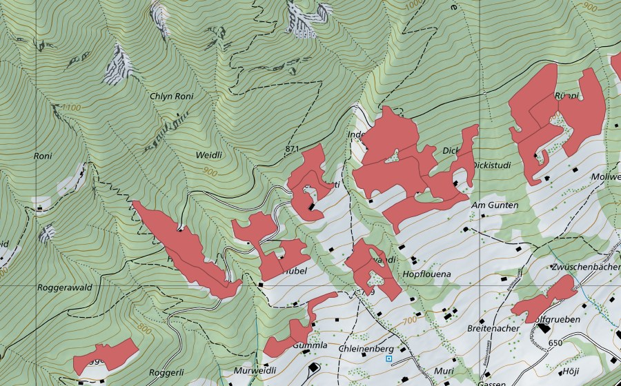 swisstopo national map showing the protected perimeter of Rüppi (Dry meadow)