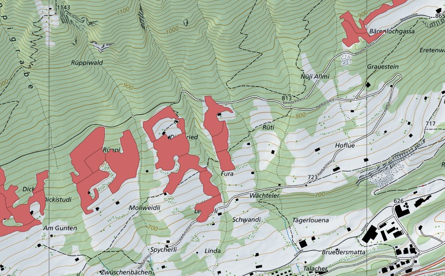 Carte nationale swisstopo avec le périmètre protégé de Rüppi (Prairie sèche)