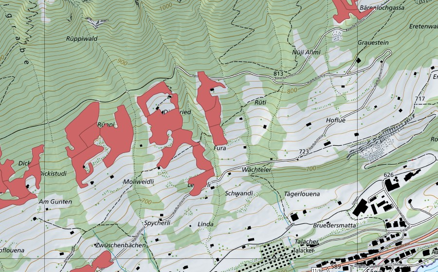 Carte nationale swisstopo avec le périmètre protégé de Rüppi (Prairie sèche)