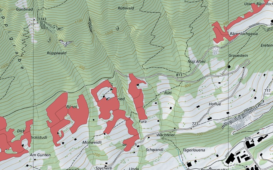 swisstopo national map showing the protected perimeter of Rüppi (Dry meadow)