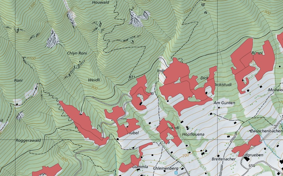 swisstopo national map showing the protected perimeter of Rüppi (Dry meadow)