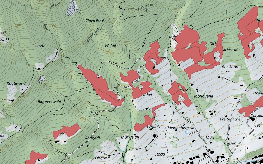 Landeskarte swisstopo mit dem Schutzperimeter von Rüppi (Trockenwiese)