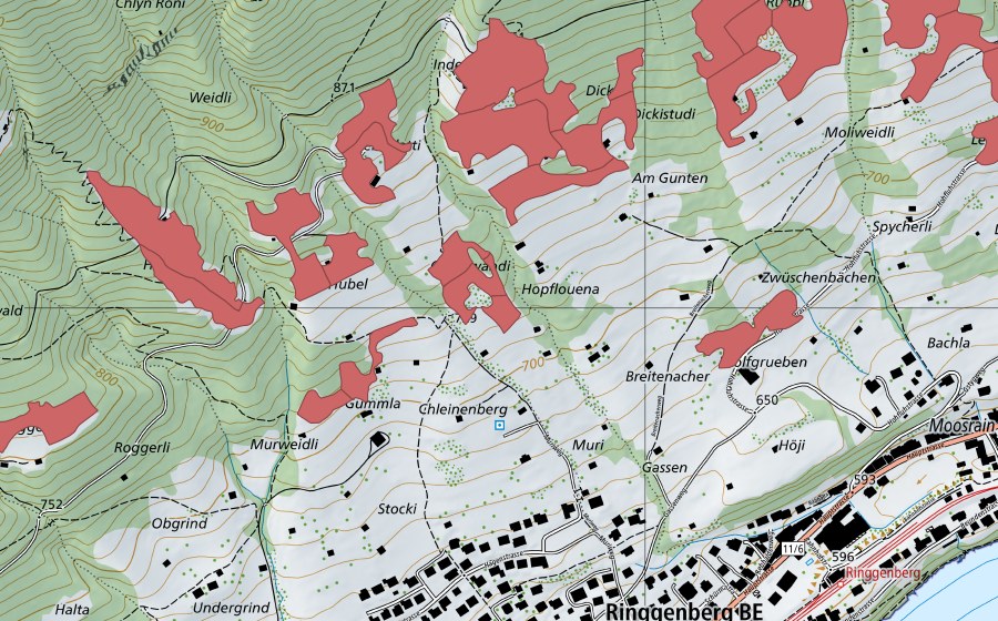 Carte nationale swisstopo avec le périmètre protégé de Rüppi (Prairie sèche)